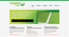Desktop Screenshot of mantenimientodecespedartificial.com